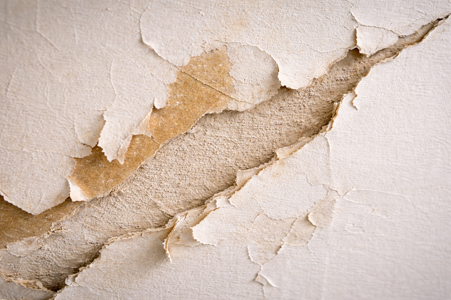 Torn drywall facing paper after failed wallpaper removal